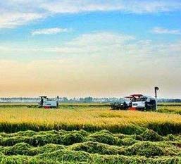 龙感湖水稻良种繁育示范基地建设工程